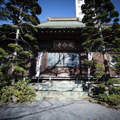 🏯 정토종 풍국산 연명사(조도슈 호코쿠산 엔메이지)